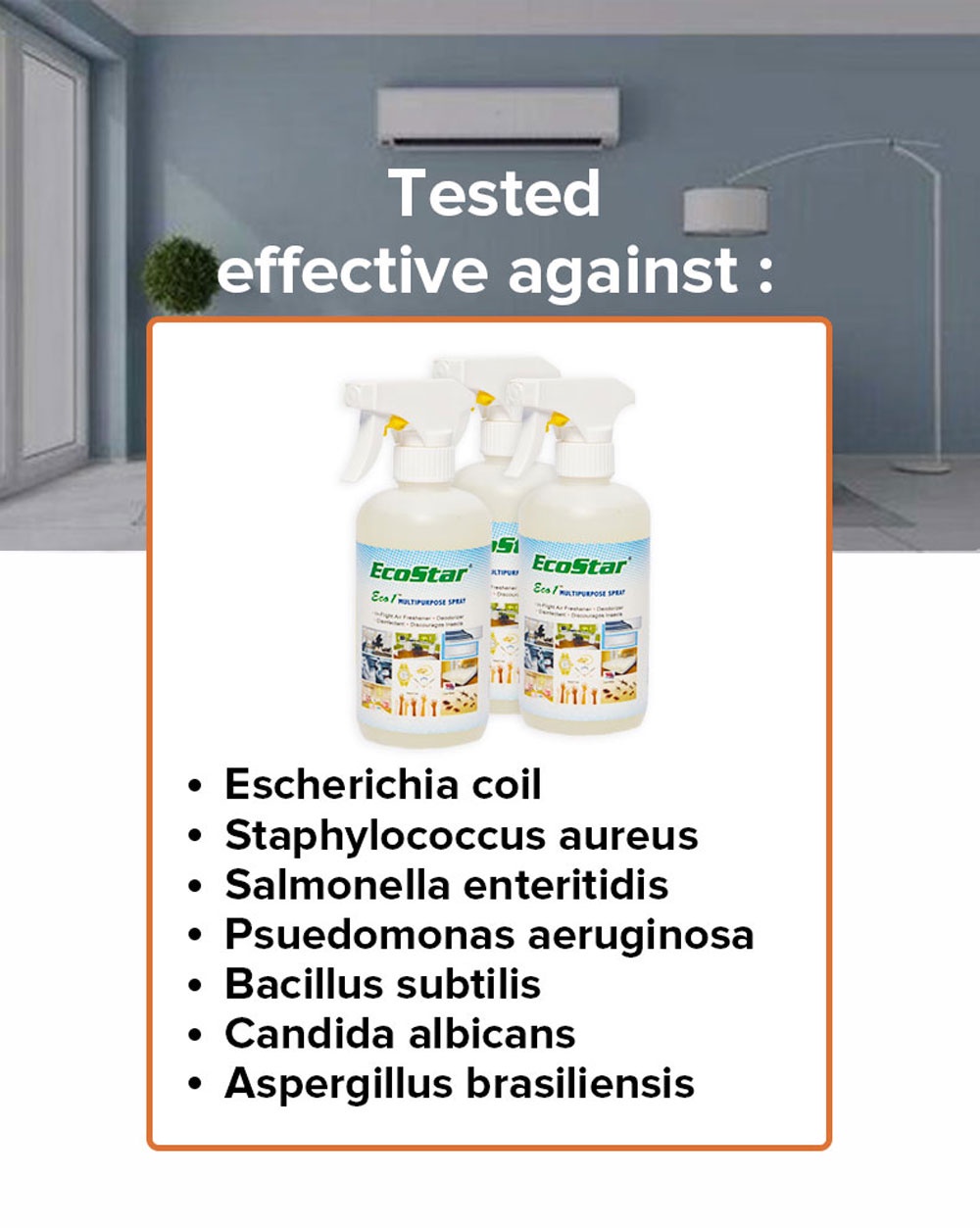 Multipurpose Disinfectant Spray-8